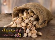 پسته تازه با پوست امروز