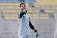 احمد گوهری