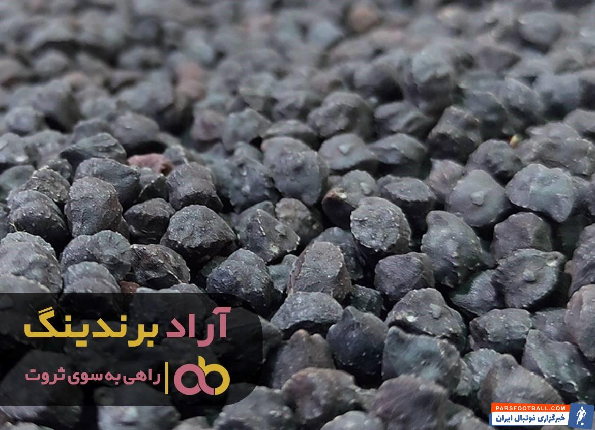 نخود سیاه