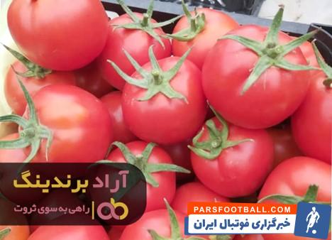 بذر گوجه برنتا