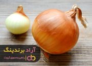 پیاز سفید امروز