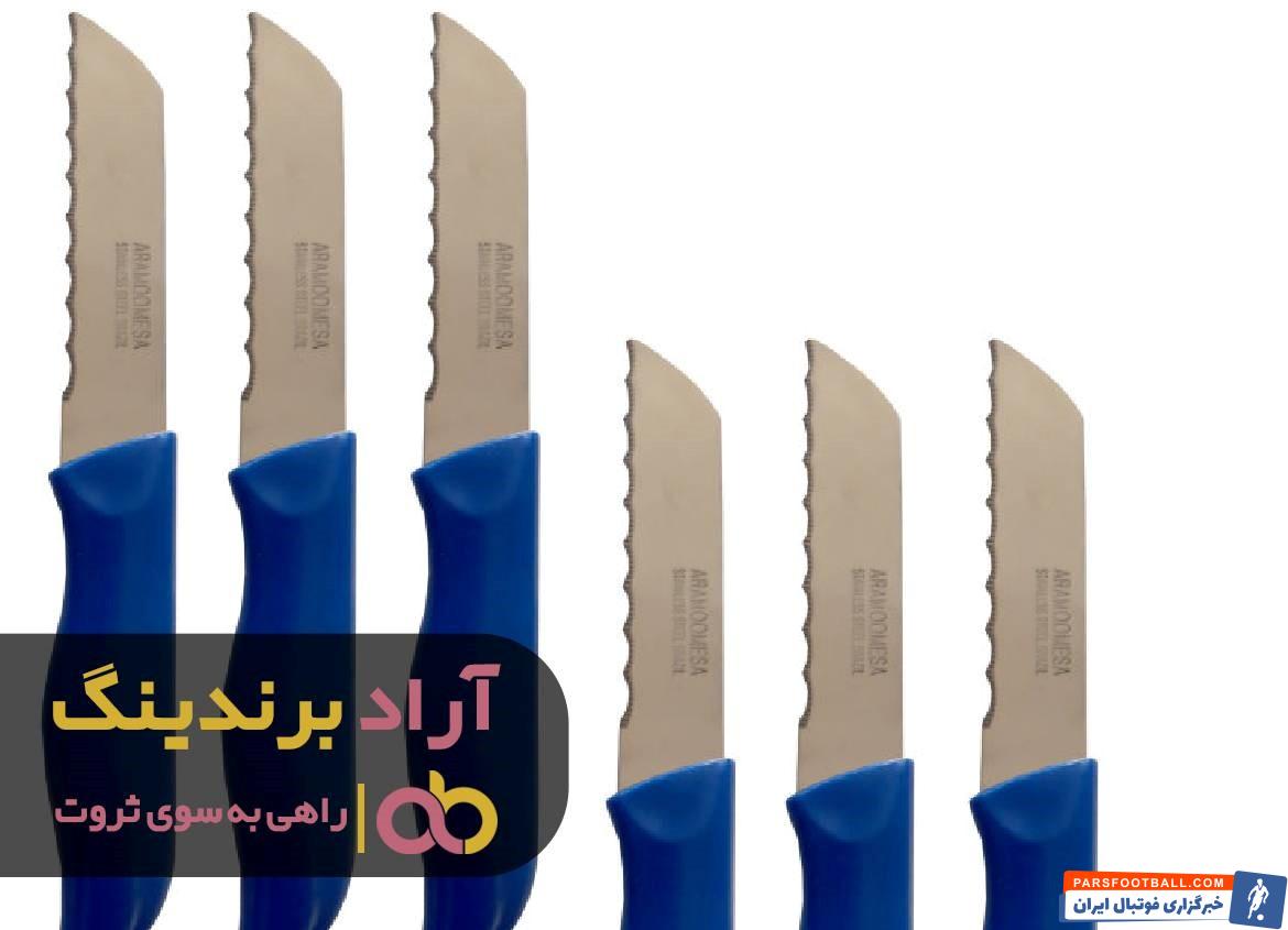 چاقو میوه خوری اره ای