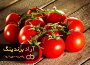 گوجه فرنگی کارخانه ۱۴۰۱