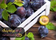 آلو بخارا صنعتی