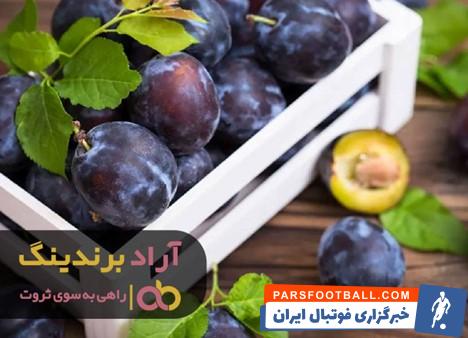 آلو بخارا صنعتی