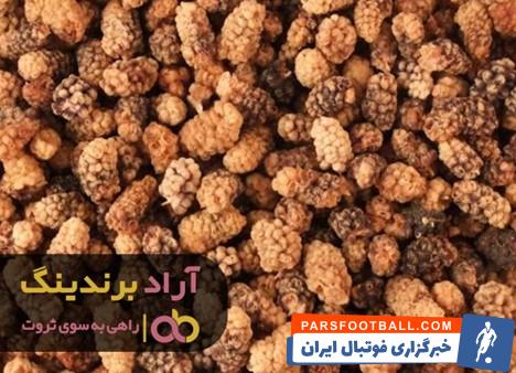 توت خشک طرقبه