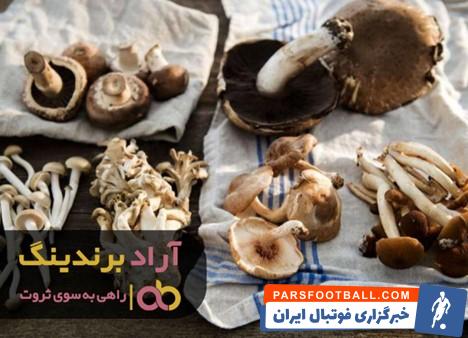 قارچ طلایی