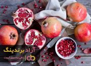 چاقو میوه خوری ام جی اس