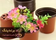 گلدان پلاستیکی در مشهد