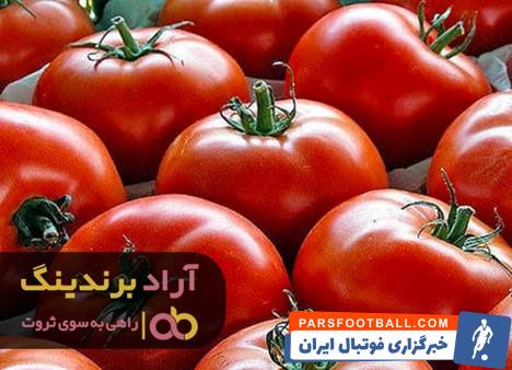 گوجه فرنگی در میدان بزرگ