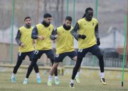 حضور دو گربه بازیگوش در تمرین امروز تیم پیکان