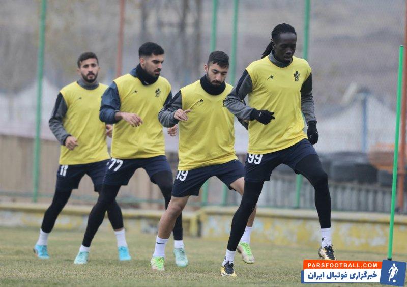 حضور دو گربه بازیگوش در تمرین امروز تیم پیکان