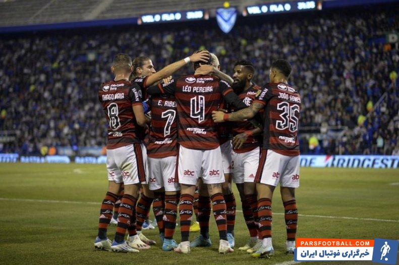 فلامینگو برزیل