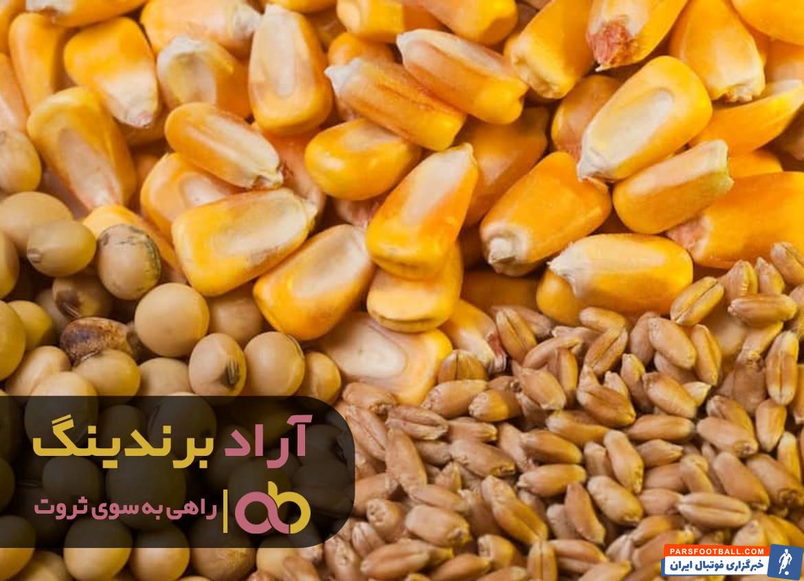 سویا خوراک دام