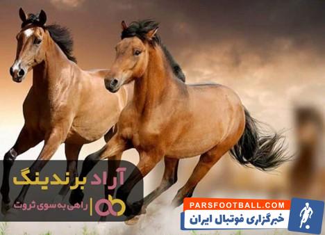 اسب عرب قویدل