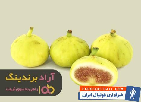 انجیر سفید