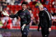 تیبو کورتوا