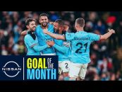 منچسترسیتی ؛ گل ها برتر منچسترسیتی در ماه ژانویه 2023