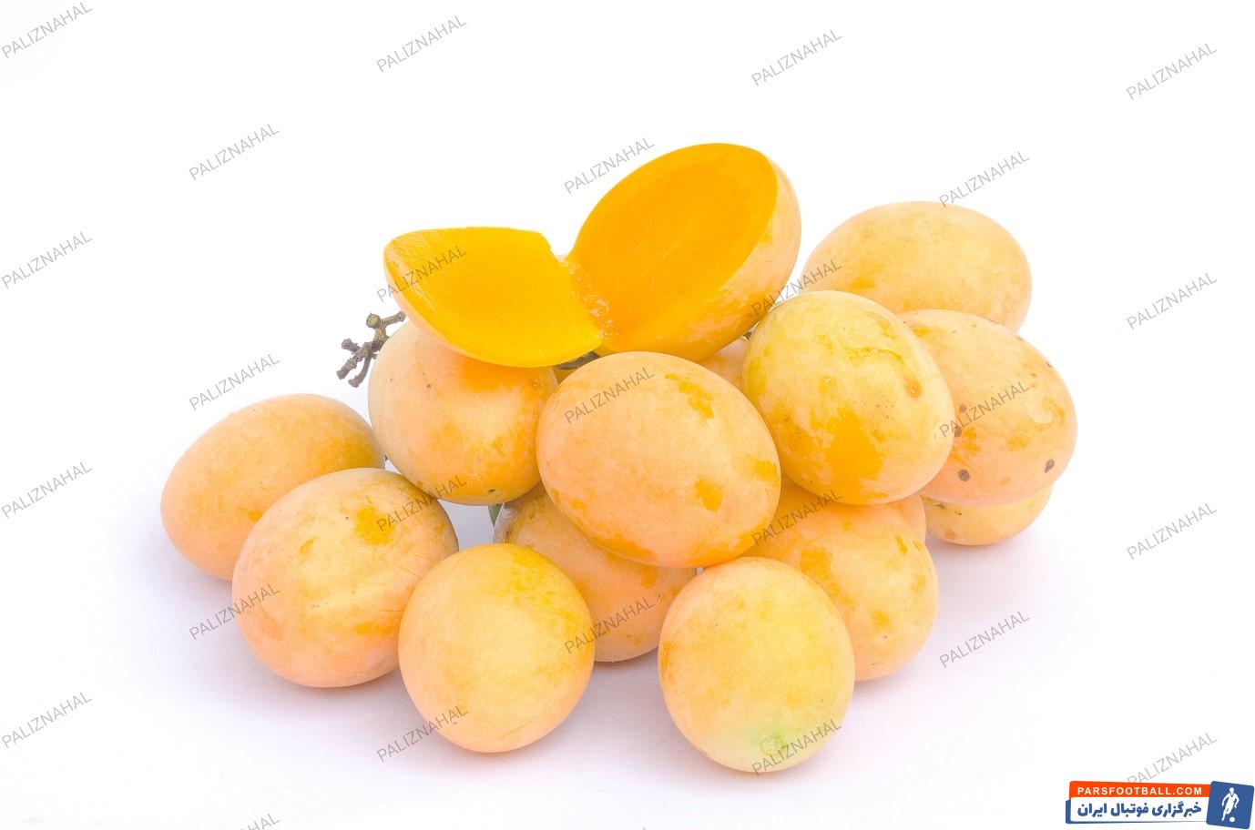 تله دلتا برای مبارزه بیولوژیک کرم درخت آلو