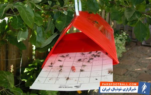 تله دلتا برای مبارزه بیولوژیک کرم درخت آلو