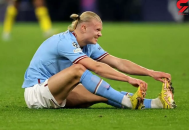 ارلینگ هالند