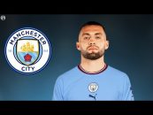 کواچیچ ؛ عملکرد کواچیچ در چلسی