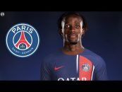 زاها ؛ عملکرد ویلفرد زاها در کریستال پالاس