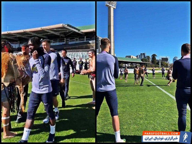 تاتنهام ؛ استقبال از تاتنهام با لباس بومی و رقص محلی در استرالیا 