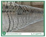 انواع مفتول (مفتول گالوانیزه، مفتول سیاه و ...) و پشم شیشه و رابیتس در حصارآنلاین