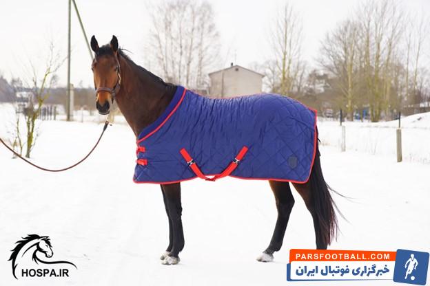 راهنمای خرید و انتخاب جل زمستانه اسب