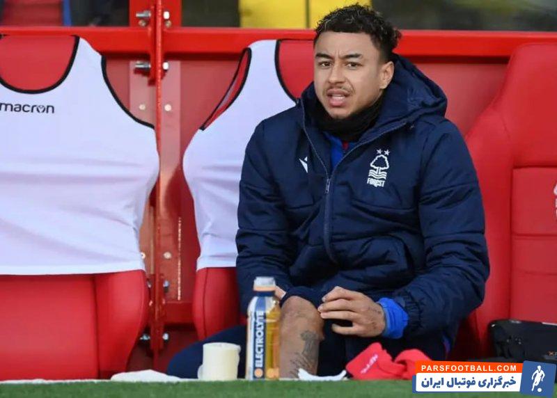 لینگارد : انتظار ندارم که مردم بفهمند مشغول چه کاری هستم