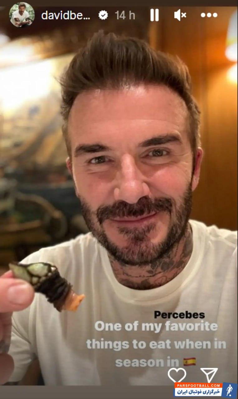 بکام ؛ صدف گردن غازی غذای مورد علاقه دیوید بکام در اسپانیا