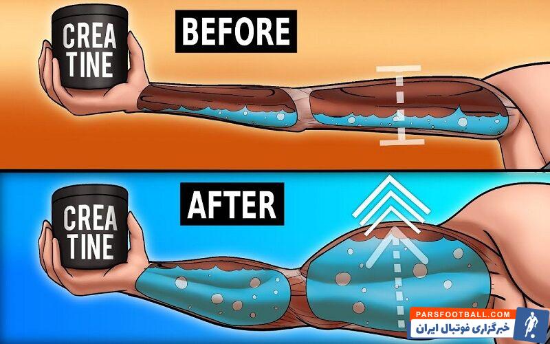 نکات مهم حین خرید و مصرف مکمل کراتین 