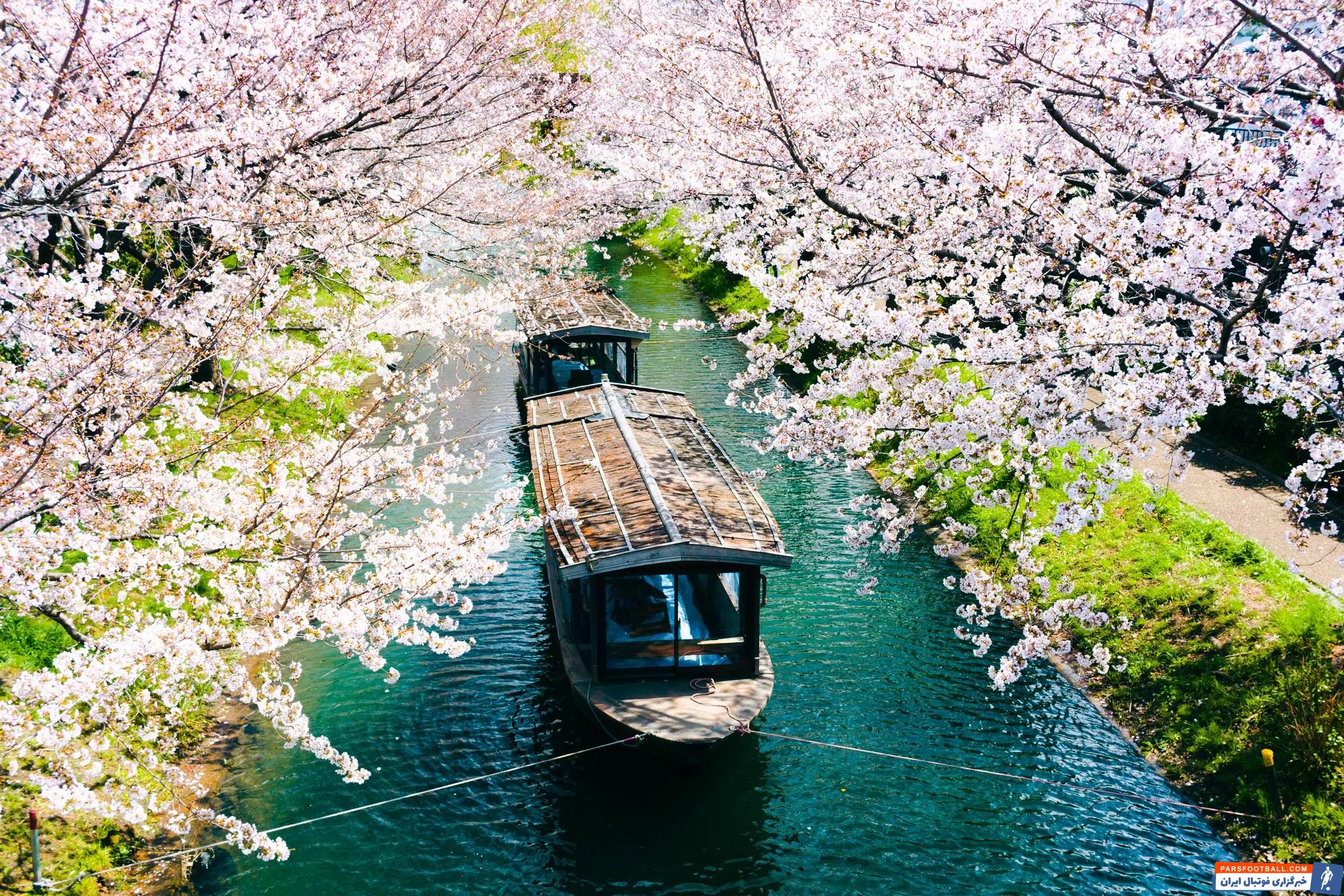 آژانس سفرنامه