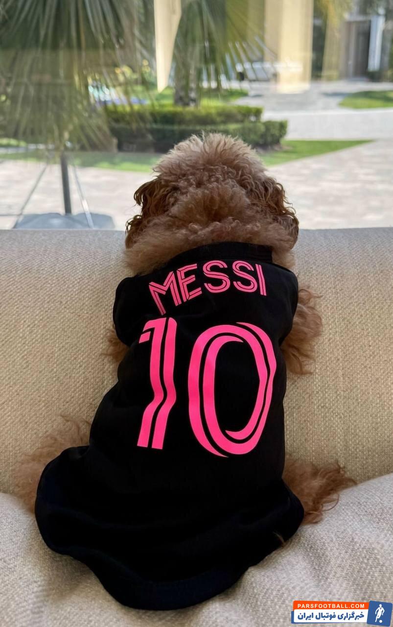 عکس‌| این سگ عاشق لیونل مسی است!
