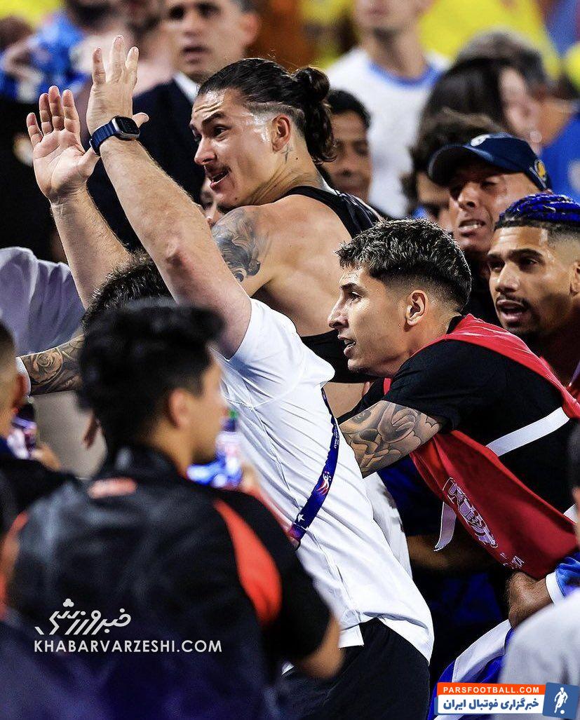 درگیری ستاره‌های اروگوئه با هواداران روی سکوها/ علت این اتفاق چه بود؟ +تصاویر