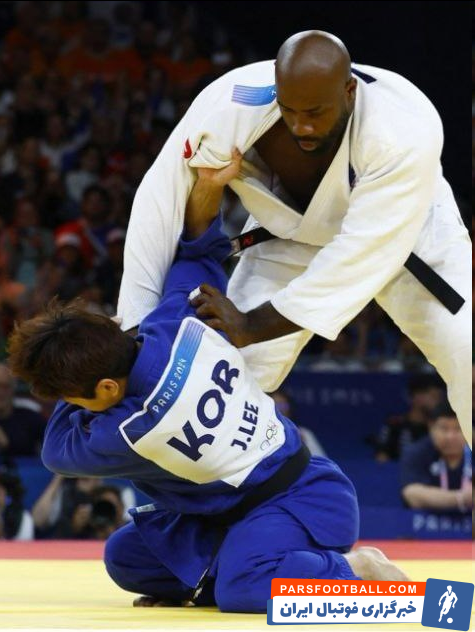 عکس| فیل و فنجان در پاریس!/ خرس گریزلی حریف می‌طلبد