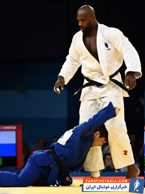 عکس| فیل و فنجان در پاریس!/ خرس گریزلی حریف می‌طلبد