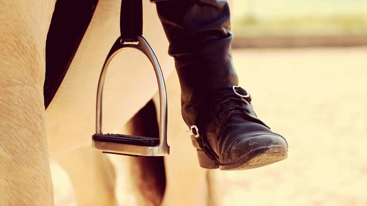 راهنمای خرید رکاب اسب
