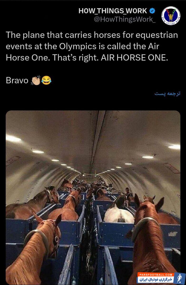 عکس| بلیط فرست کلاس برای اسب‌های المپیکی