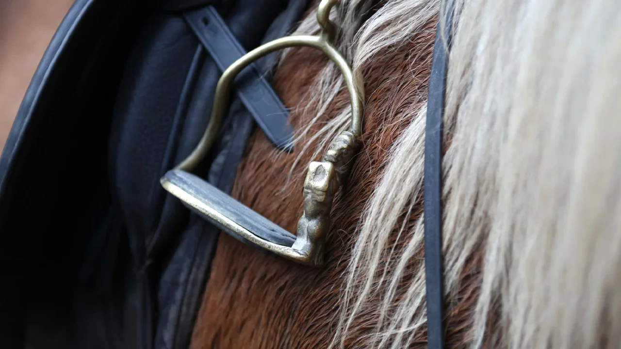 راهنمای خرید رکاب اسب