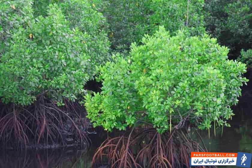 سفر به چابهار در پاییز ۱۴۰۳: معرفی جاذبهها و هتلهای ارزان