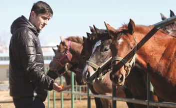 سردار آزمون خبر از فوت یکی از اسب هایش داد
