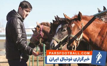 سردار آزمون خبر از فوت یکی از اسب هایش داد