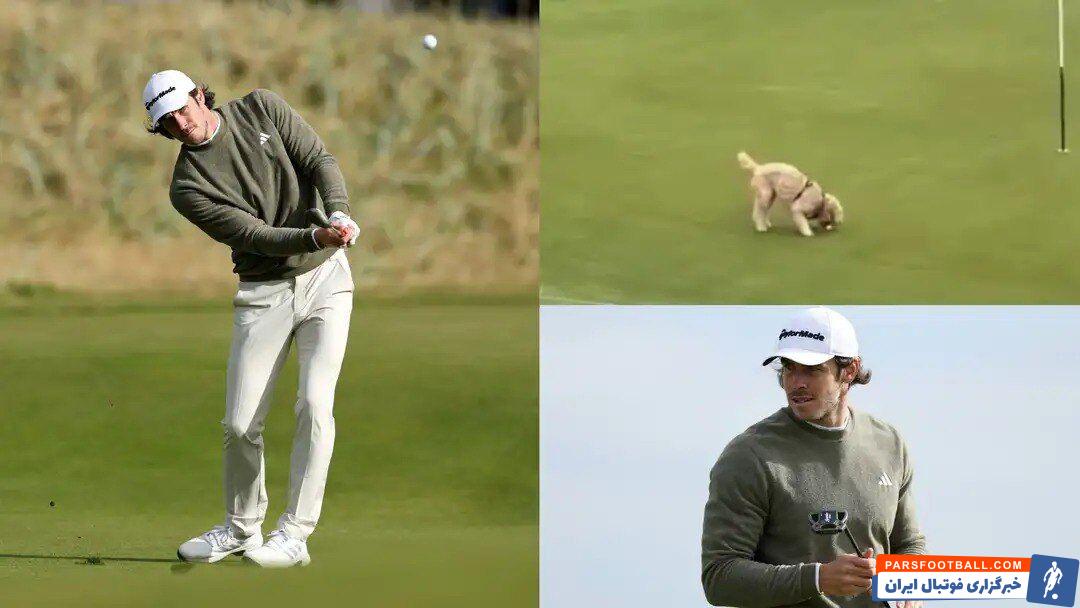 عکس| سرقت عجیب یک سگ از ستاره سابق رئال مادرید