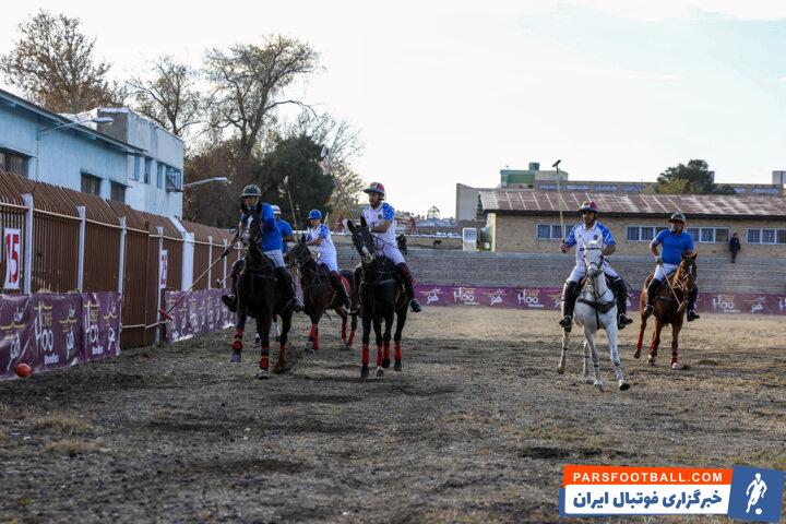 ماجرای مسمویت مشکوک ۲۵ اسب باشگاه شهدا؛ دادگستری به دنبال مقصر