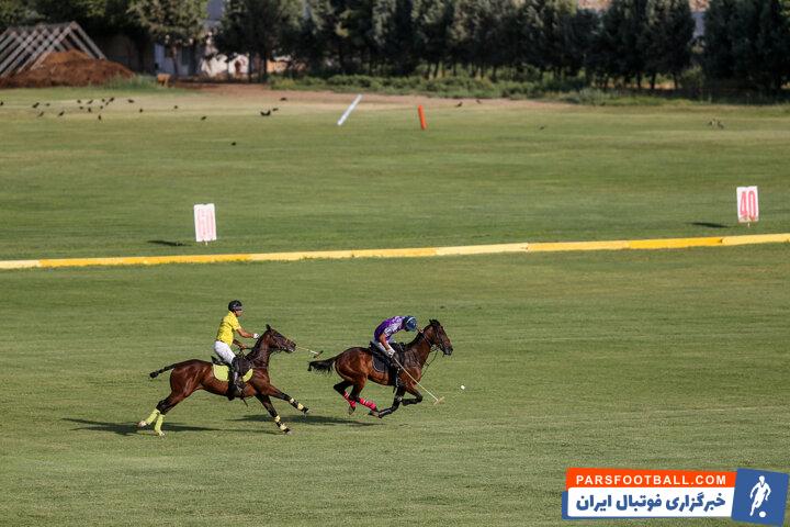 ماجرای مسمویت مشکوک ۲۵ اسب باشگاه شهدا؛ دادگستری به دنبال مقصر
