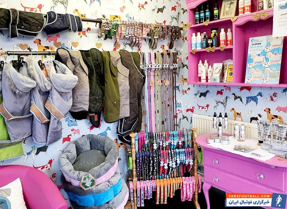 پت شاپ آنلاین: راهی آسان برای خرید محصولات حیوانات خانگی