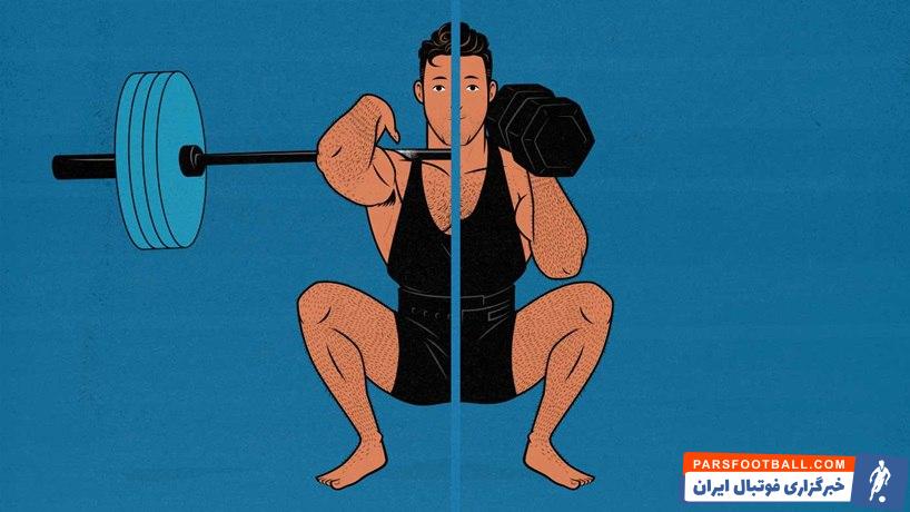 چگونه خرید دمبل و هالتر به شما در دستیابی به عضلات ایده‌آل کمک می‌کنند؟