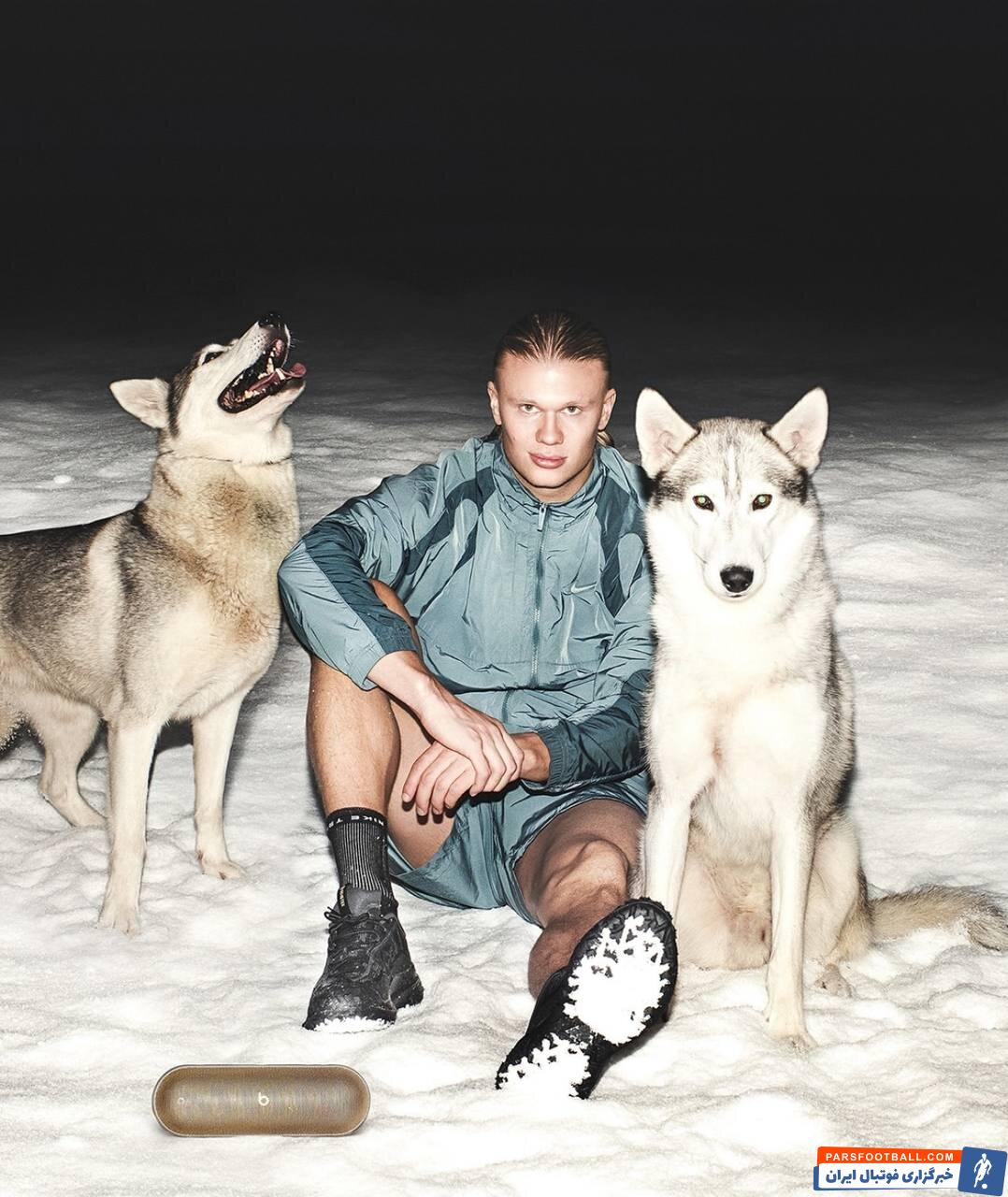 عکس | ژست جالب هالند کنار گرگ‌ها؛ من معمولی نیستم!